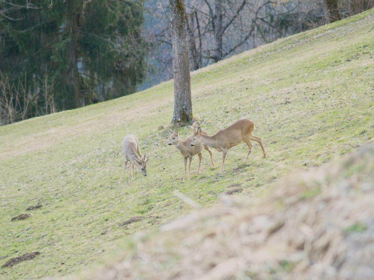 Apartmán Haus Gruener Wald Bartholomäberg Exteriér fotografie